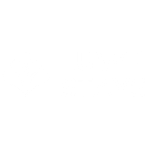 luwii stays
